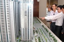 Thị trường nhà đất: Mọc như nấm, chết như rạ