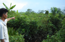 Dân kiện quyết định của UBND tỉnh Vĩnh Long