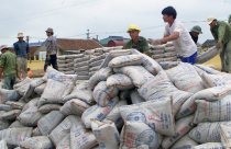 Nguy cơ phá sản của DN xi măng