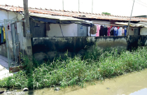 Nhà công nhân: Người nhà lầu, kẻ chui nhà lá