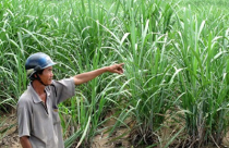 Phải đền bù thu hồi đất nông nghiệp cho dân