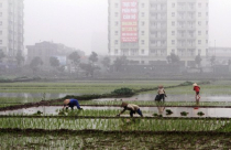 Sửa đổi Luật Đất đai: Cần lập một ban soạn thảo khác?