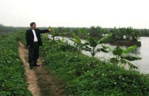 Không đồng ý việc UBND Tiên Lãng cho ông Vươn thuê đất 5 năm