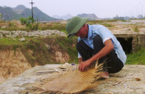 Quỳnh Lưu - Nghệ An: Khu công nghiệp bỏ hoang, nghìn người khốn đốn