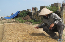 Sống mòn bên dự án treo 15 năm - Kỳ cuối: Dân bế tắc, cán bộ trục lợi