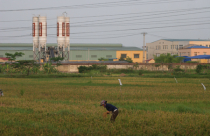 Hà Nội thu hồi trên 8 triệu m2 đất của các tổ chức vi phạm