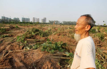 Bản chất hai vụ Tiên Lãng-Văn Giang khác nhau!