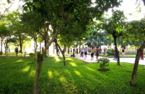 Công viên "phức hợp"(?!)