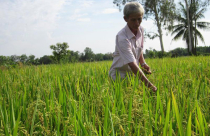 Cần nhân rộng chuyện trả đất