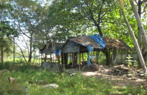 “Khen thưởng” người vi phạm pháp luật