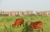 Lãng phí đất ở Hà Nội: Biết để... rút kinh nghiệm