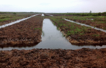 Tiền Giang: Lập dự án ảo để kiếm tiền