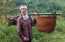 Đền bù đất theo giá thị trường nào?