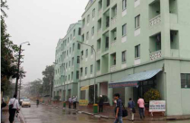 Tránh xin cho, chạy chọt