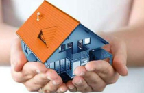 Trông vào chính sách…