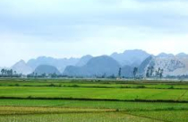 “Đại gia” bắt tay cán bộ xã để hợp thức hoá việc mua đất?