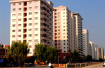 Đại gia nhà đất đi Tết bằng… căn hộ