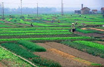 Sửa Luật Đất đai: Bớt ưu tiên Nhà nước