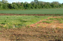 Dự án luật Đất đai sửa đổi: Chính phủ sẽ tổ chức lấy ý kiến nhân dân sau ngày 1.2