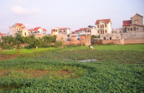Sẽ miễn lệ phí trước bạ đất ở nông thôn