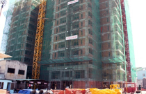 Để thị trường đi đúng hướng