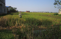 Hà Nội đề nghị cho nợ lệ phí trước bạ khi cấp sổ đỏ