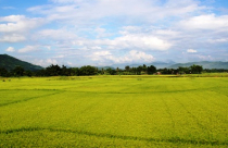 Một số điểm mới quan trọng trong dự thảo Luật Đất đai