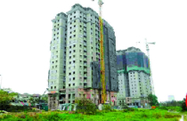 Yêu cầu các địa phương đánh giá tác động của Luật Kinh doanh bất động sản