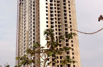 HUD3: Giải trình việc lợi nhuận sụt giảm 13,04%