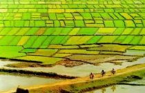 Nâng cao hiệu quả giải quyết khiếu nại, tố cáo về đất đai