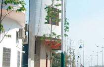 Sóc Trăng: Nở rộ nhà siêu mỏng