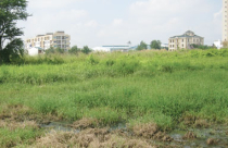 Thường trực HĐND TP Hà Nội giám sát tại huyện Mê Linh: Vướng cơ chế đất dịch vụ