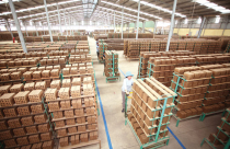 Doanh nghiệp vật liệu: Tắc đường to, dò ngõ nhỏ!