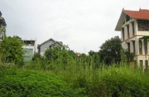 Dự kiến, cắt giảm 30% dự án chậm triển khai