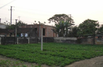 Giao dịch nhà đất: Người bán - người mua... nhìn nhau