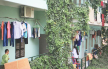 Nhan nhản nhà rao bán trên 400 triệu tại Hà Nội