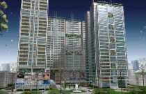 Quốc Cường Gia Lai chỉ lãi 826 triệu đồng trong quý 1