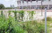 Bồi thường tiền tỷ do cưỡng chế trái luật