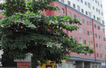 Chia nhỏ, chuyển công năng căn hộ - Lợi bất cập hại