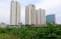 Tuân thủ quy luật thị trường