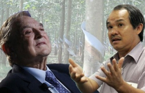 Global Witness: HAGL nói “không đúng”