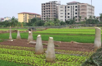 Ðóng góp ý kiến Dự thảo Luật đất Ðai (sửa đổi) Thu hồi đất phải tính đến sinh kế lâu dài của người dân