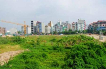 Bất cập đất đai ngày càng đậm nét