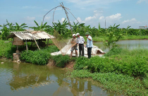 Khó khăn trong điều chỉnh thời hạn sử dụng đất nông nghiệp