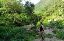 Nhan nhản rao bán đất 2.000 đồng/m2