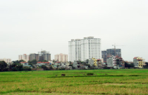 Bảng giá đất còn nhiều bất cập