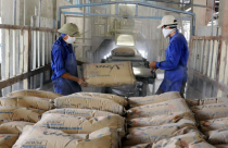 Tiêu thụ xi măng tăng trở lại, tín hiệu vui cho ngành bất động sản