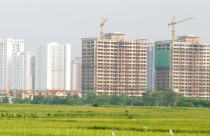 Nhà xã hội: Giá rẻ vẫn lo... ế?