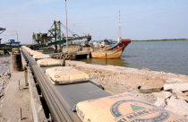 Xi măng hồi sức