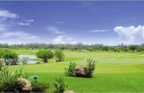 Xóa sổ 76 sân golf, thu hồi trên 15.600 ha đất